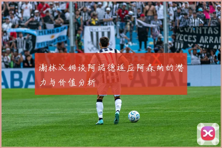 谢林汉姆谈阿诺德适应阿森纳的潜力与价值分析